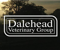 daleshead